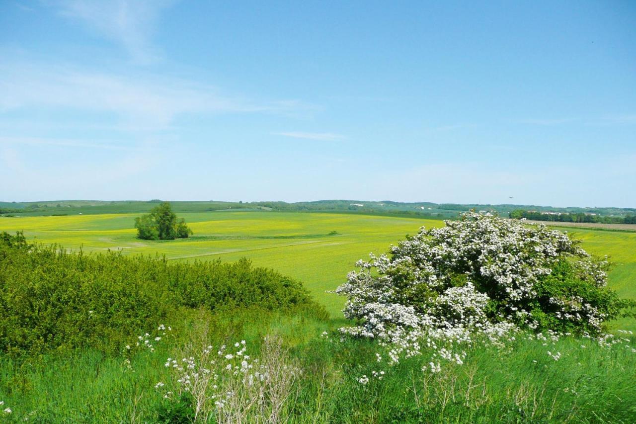 Ferienresidenz Zwei Bodden Fewo2-8 - Balkon, Sauna, Kamin Lietzow Bagian luar foto